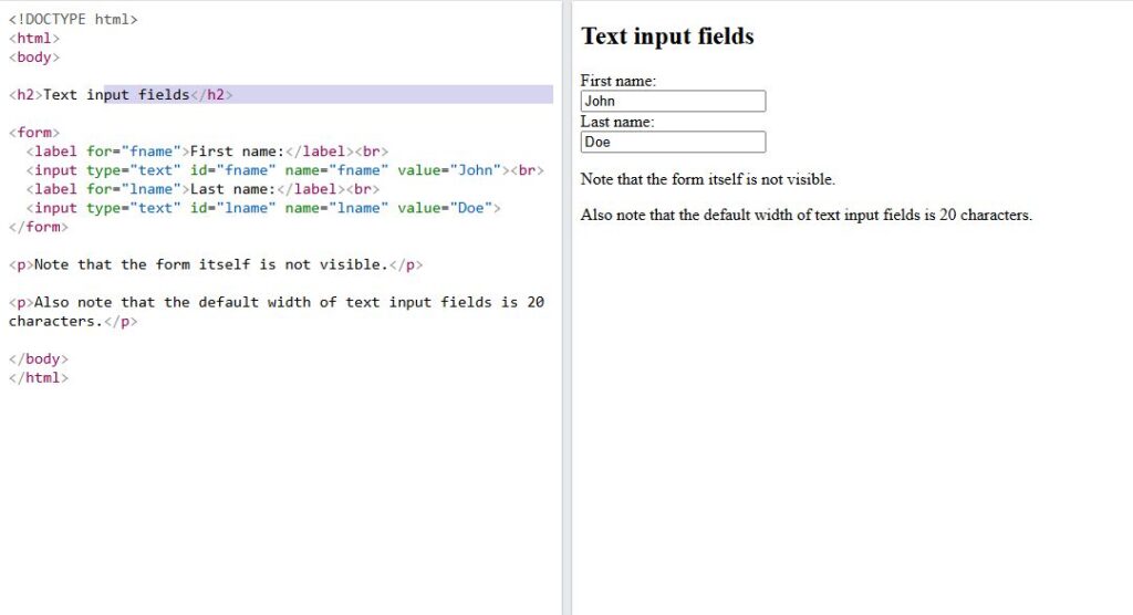 Text Input fields